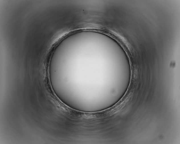 X0000099991407200806131424