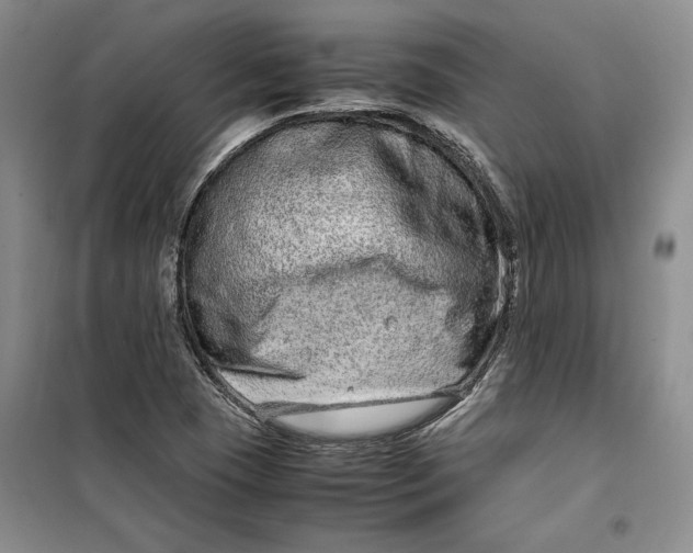 X0000099991409200806131424