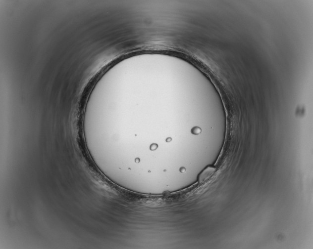 X0000099991410200806131424