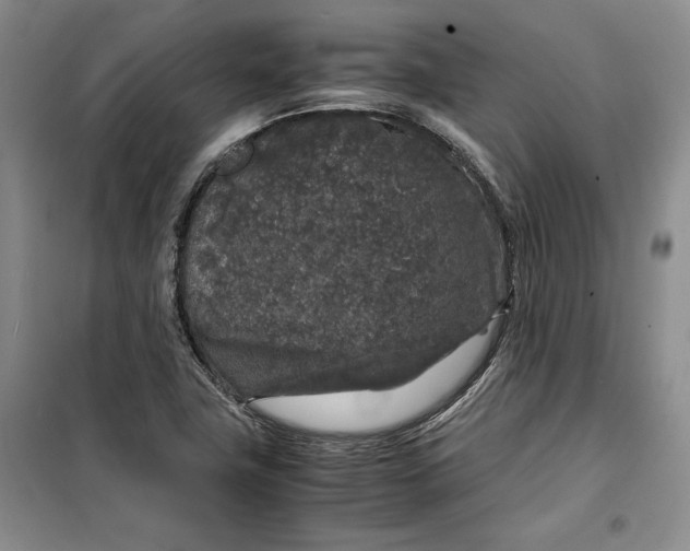 X0000099991411200806131424