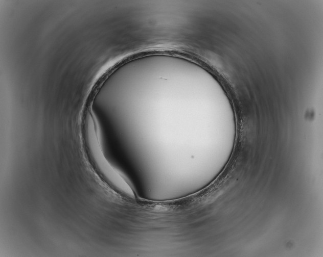 X0000099991412200806131424