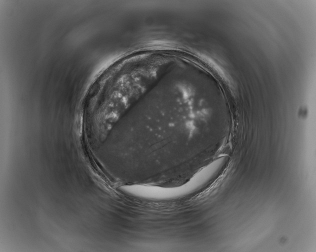 X0000099991413200806131424