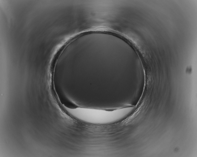 X0000099991414200806131424