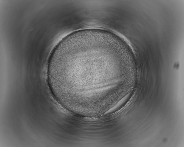 X0000099991415200806131424