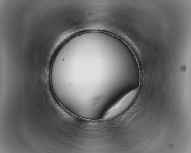 X0000099991416200806131424