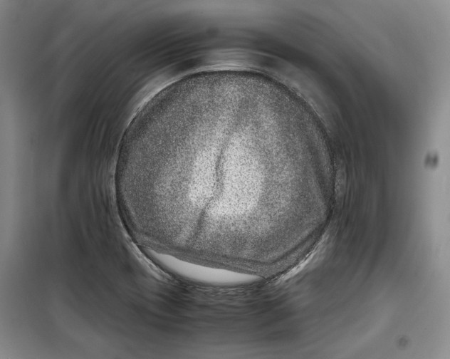 X0000099991417200806131424