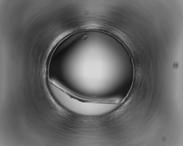 X0000099991418200806131424