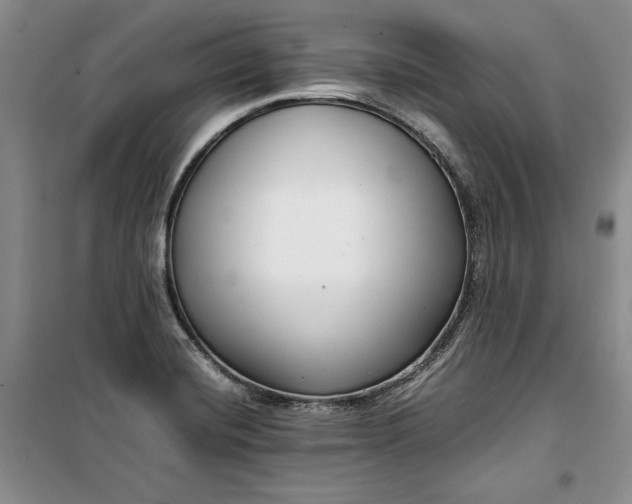 X0000099991420200806131424