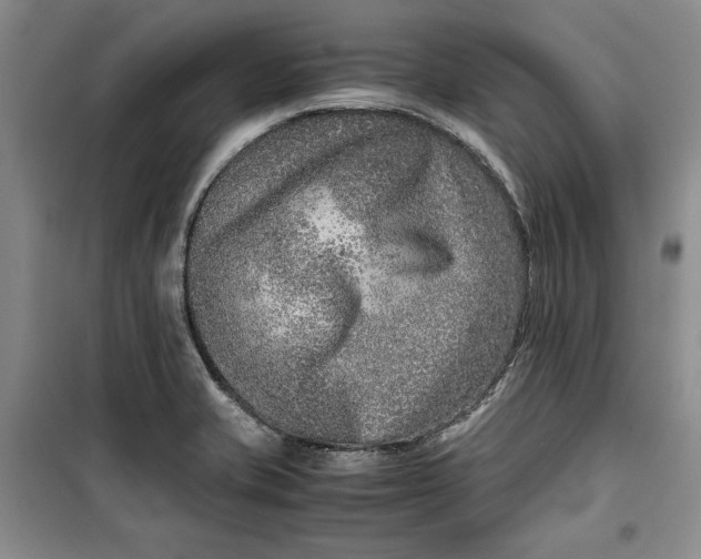 X0000099991421200806131424