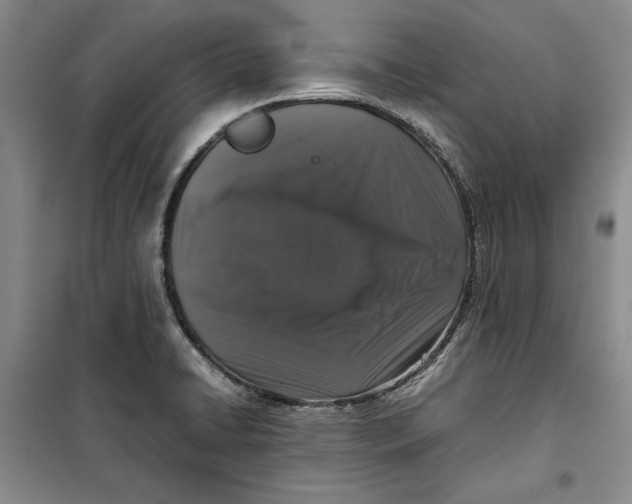 X0000099991422200806131424