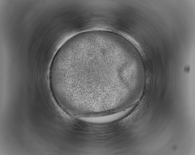 X0000099991423200806131424