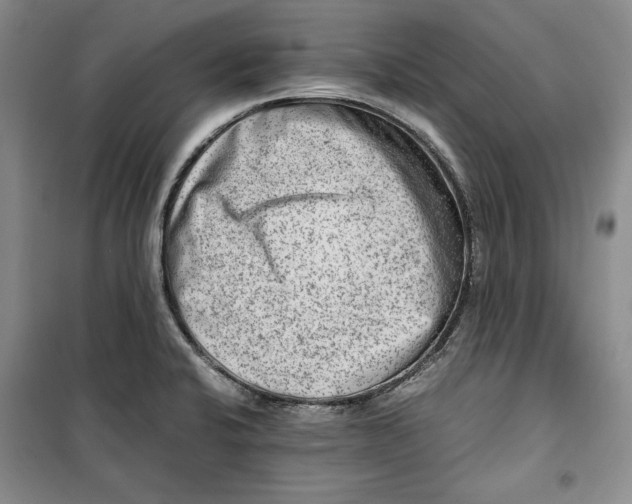 X0000099991424200806131424