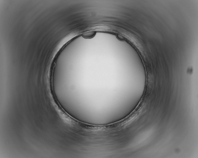 X0000099991426200806131424