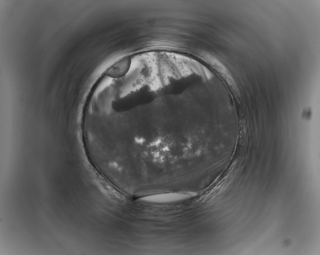 X0000099991427200806131424