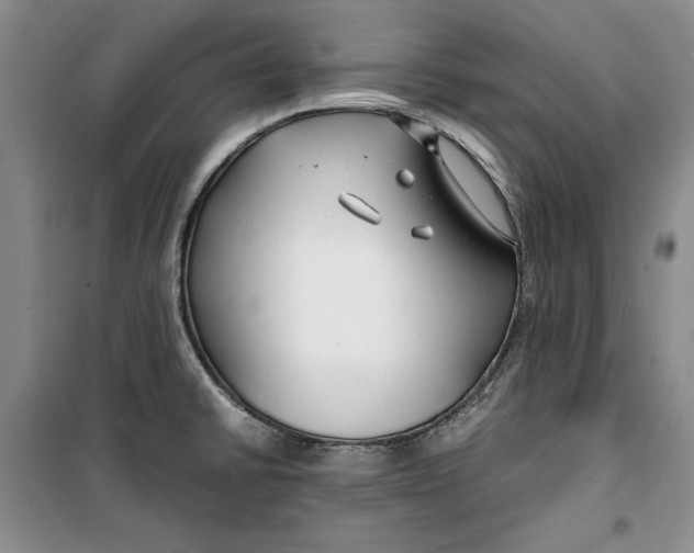 X0000099991430200806131424