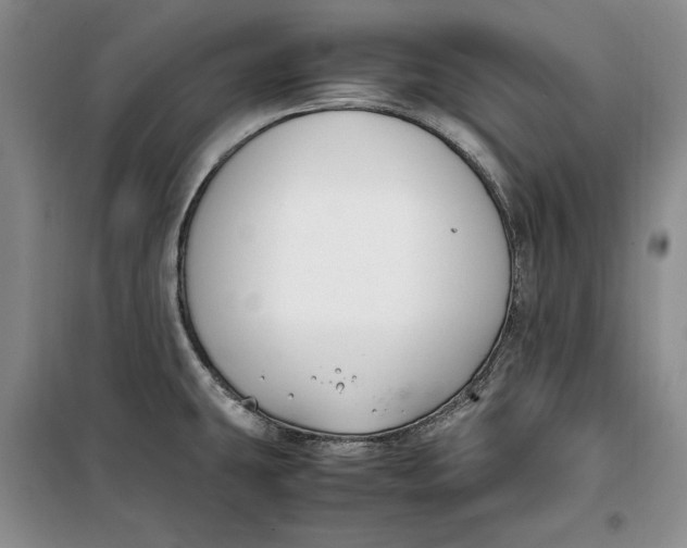 X0000099991431200806131425