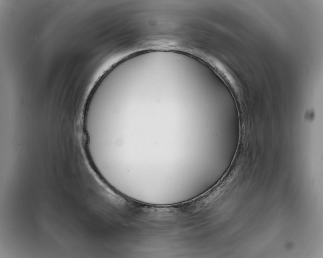 X0000099991432200806131425