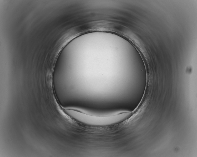 X0000099991433200806131425