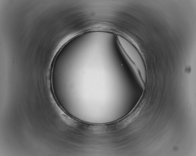 X0000099991434200806131425