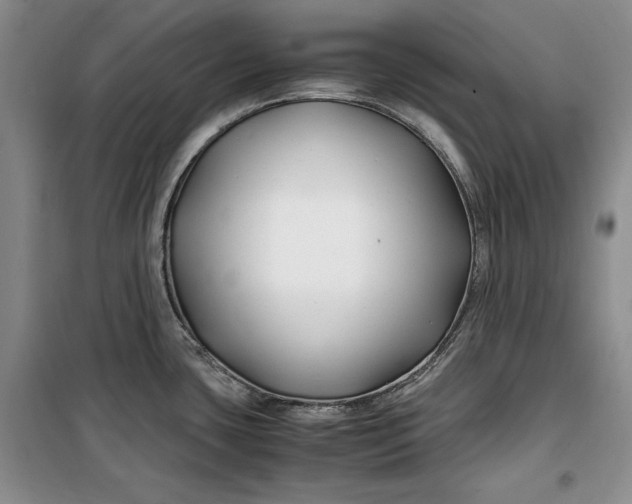 X0000099991435200806131425