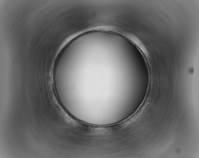 X0000099991436200806131425