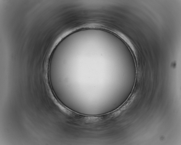 X0000099991437200806131425