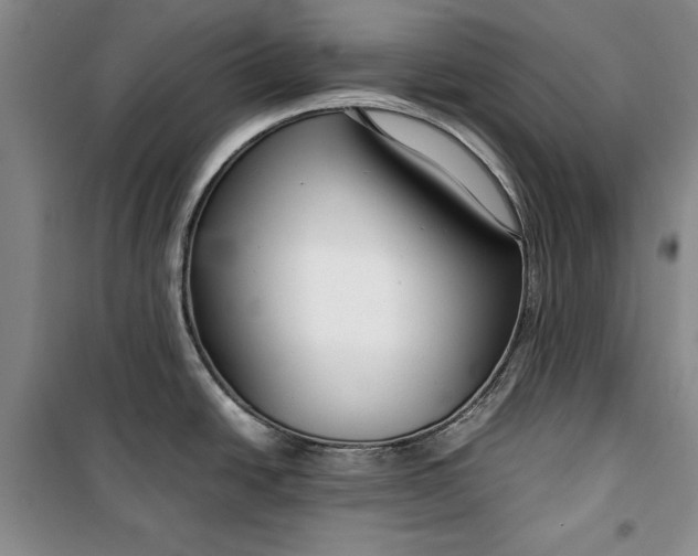 X0000099991438200806131425