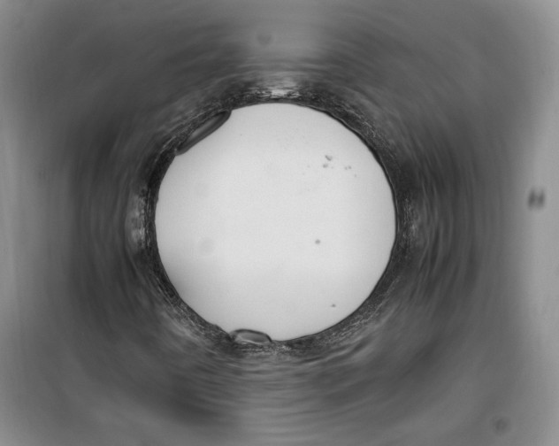 X0000099991442200806131424