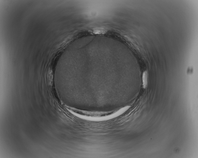 X0000099991443200806131424