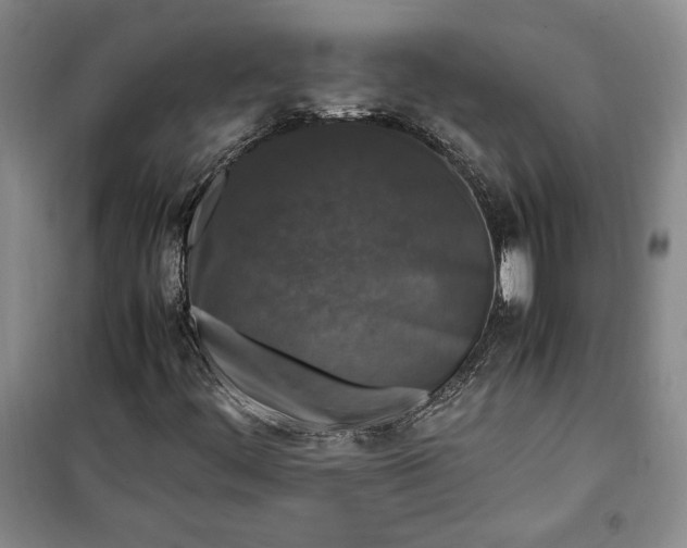 X0000099991444200806131424