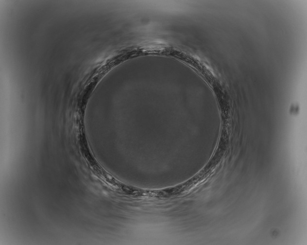 X0000099991445200806131424