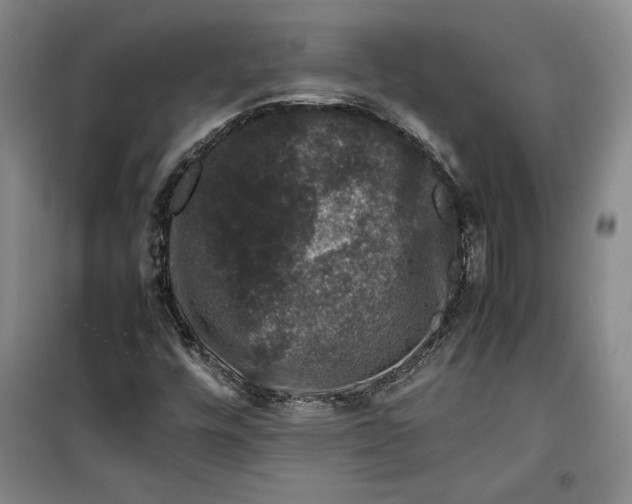 X0000099991448200806131424