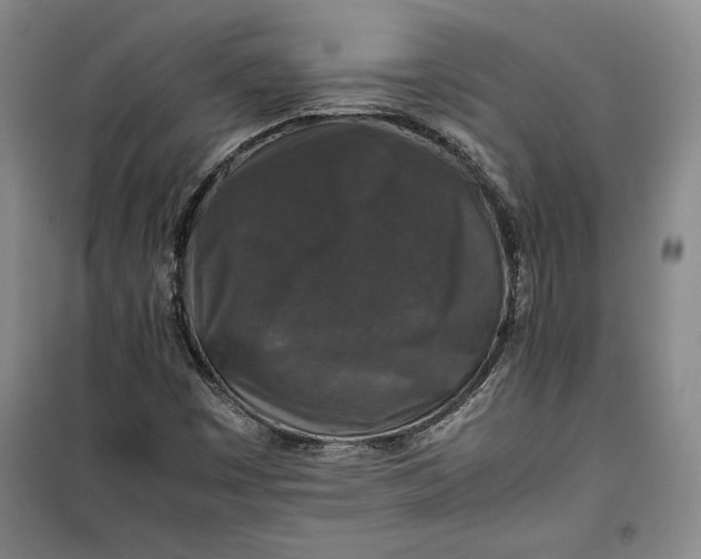 X0000099991449200806131424