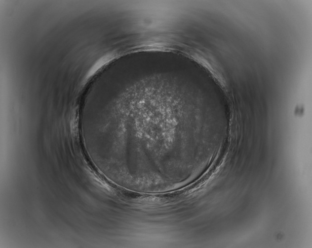 X0000099991450200806131424