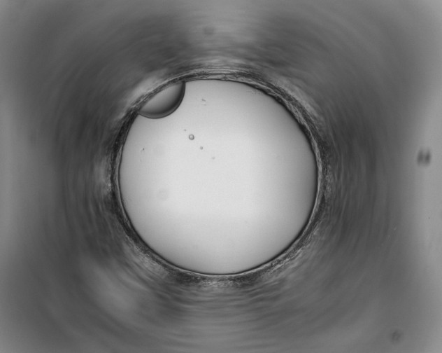 X0000099991451200806131424