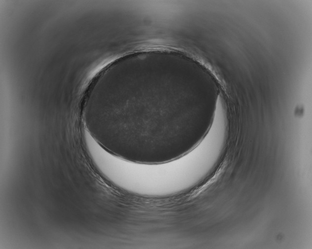 X0000099991453200806131424