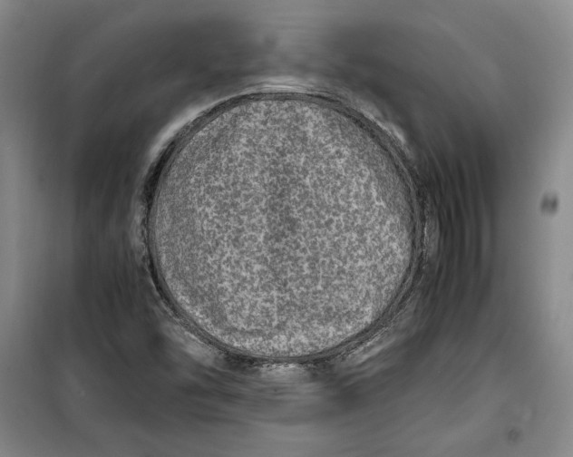 X0000099991454200806131424