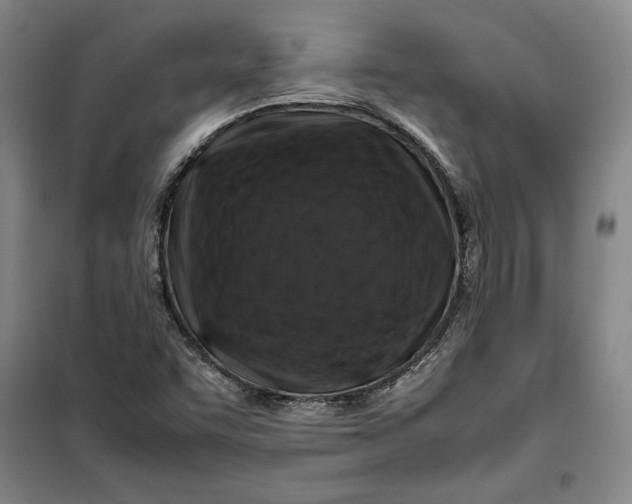 X0000099991455200806131424