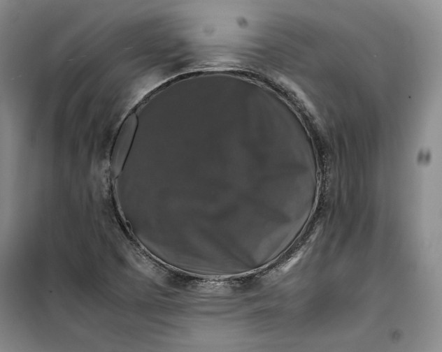 X0000099991457200806131424