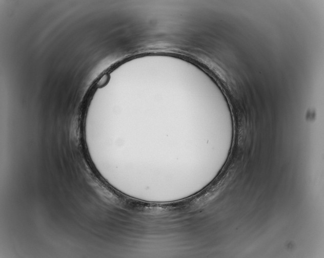 X0000099991458200806131424