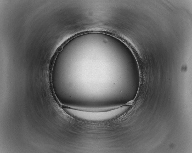 X0000099991460200806131424