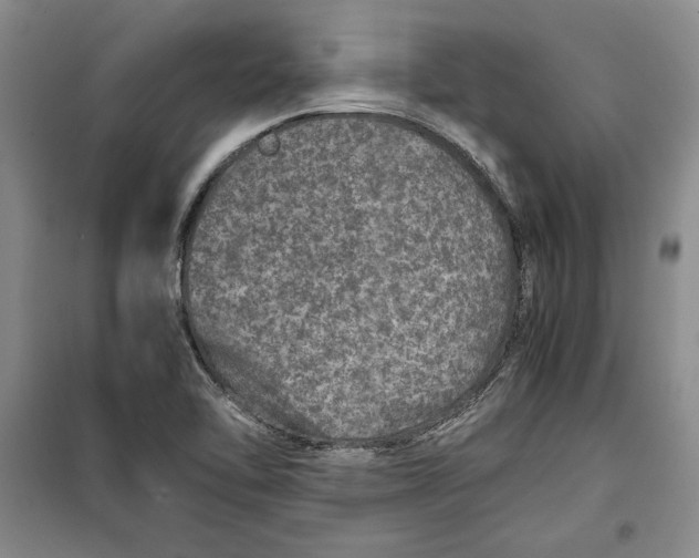 X0000099991462200806131424