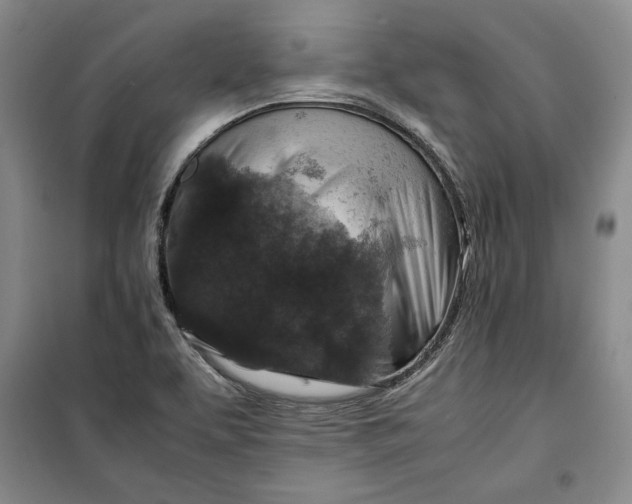 X0000099991463200806131424