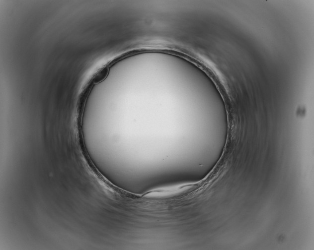 X0000099991464200806131424