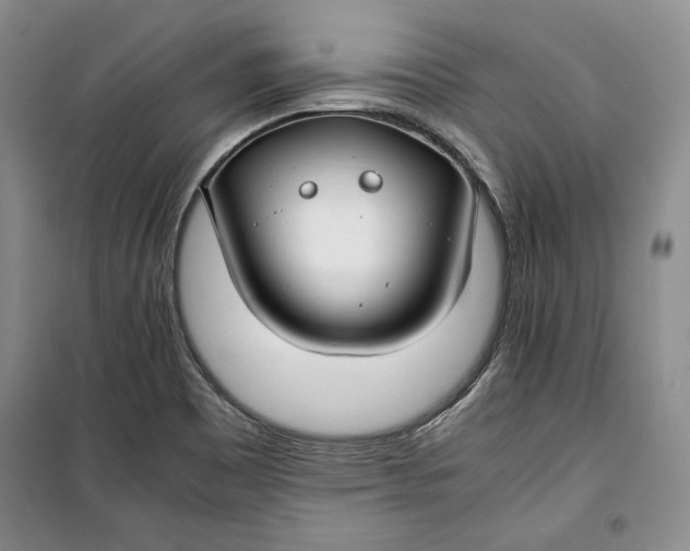 X0000099991465200806131424