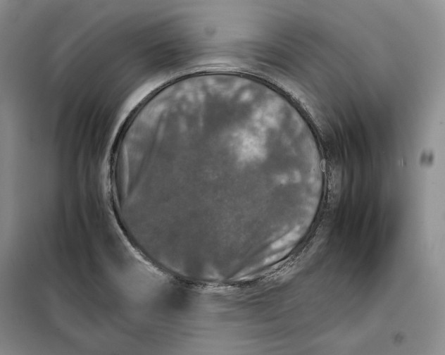 X0000099991466200806131424