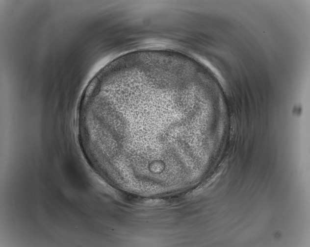 X0000099991467200806131424