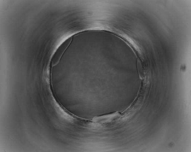 X0000099991468200806131424