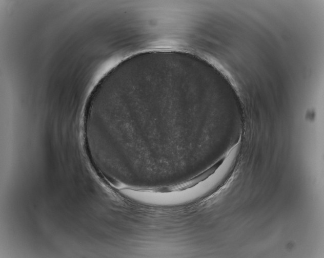 X0000099991469200806131424