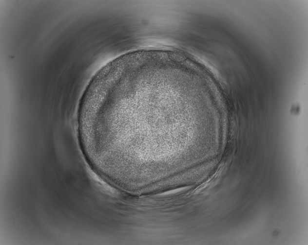 X0000099991471200806131424